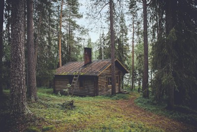 Christmas at the Cabin — highlights and attractions from this guide