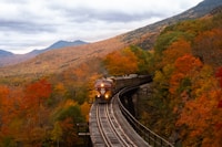 Fan the rails this season — highlights and attractions from this guide