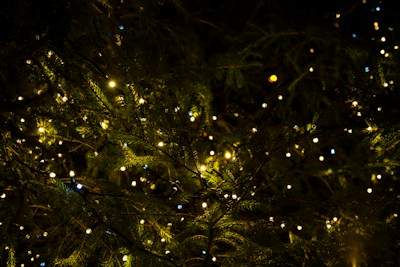 Mountain Country Christmas in Lights — highlights and attractions from this guide