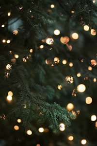 The Rocket City is a Christmas destination to consider visiting for the season. The Galaxy of Lights Event begins in November through New Years Eve. Truly, Huntsville has a lot to offer in North Alabama. — more scenes and local spots from this guide